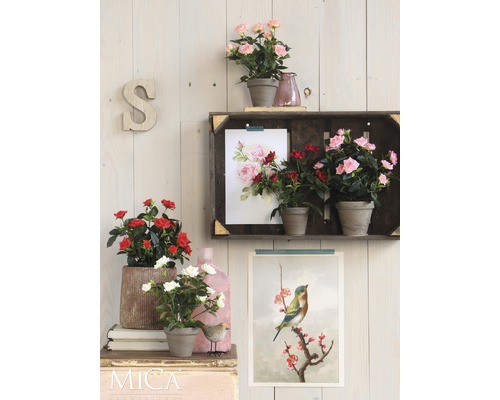 Dekorativní scéna s růžemi v květináčích, policí a nástěnnými malbami