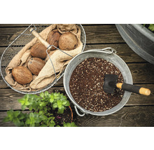 Zahradní aranžmá s kokosovými ořechy, zeminou a malou lopatkou.