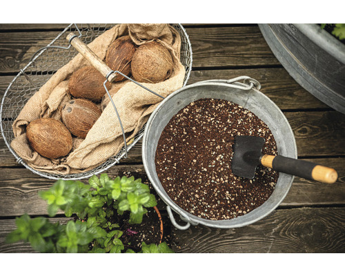 Zahradní aranžmá s kokosovými ořechy, zeminou a malou lopatkou.