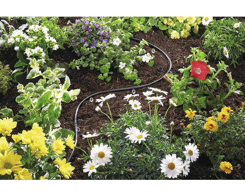 Zahrada s květinami a zavlažovací hadicí