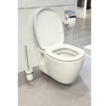 Závěsný záchod s otevřeným víkem, WC štětka a držák papíru v koupelně.