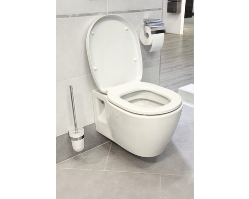 Závěsný záchod s otevřeným víkem, WC štětka a držák papíru v koupelně.