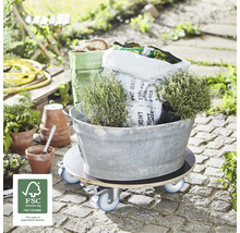 Pojízdná deska s rostlinami a zahradními doplňky ve venkovním prostředí