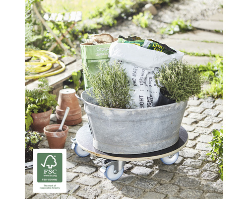 Pojízdná deska s rostlinami a zahradními doplňky ve venkovním prostředí