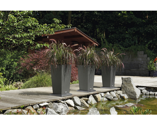 Tři květináče s okrasnými trávami na zahradě