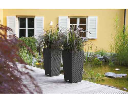 Dva květináče s rostlinami vedle rybníka