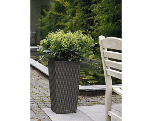 Květináč s rostlinou na zahradě