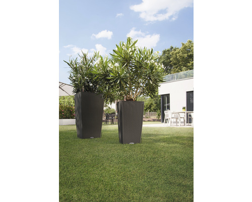 Dva vysoké květináče s rostlinami na zahradě