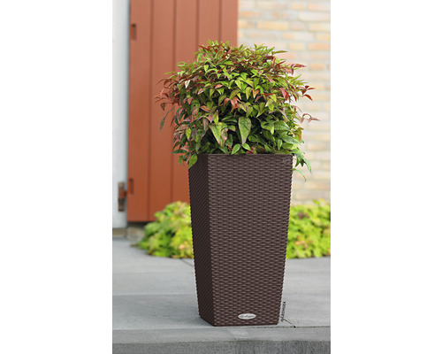 Vysoký květináč s rostlinou na terase