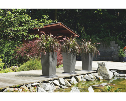 Tři květináče s rostlinami u rybníka v zahradě.