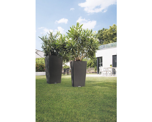 Dva květináče s rostlinami v zahradě