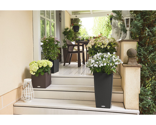 Terasa s rostlinami v květináčích a zahradním nábytkem