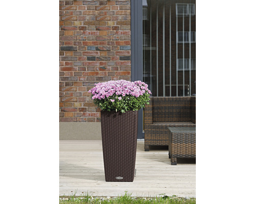 Květináč s květinami v zahradní oblasti