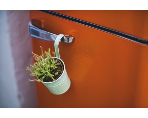 Rostlina Drosera v květináči visí na klice dveří.