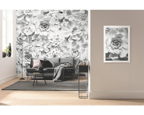 Obývací pokoj s fototapetou se sukulentním motivem a zarámovaným obrazem