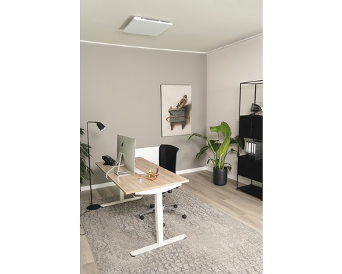 Moderní kancelář s výškově nastavitelným stolem, stropním topením a pokojovou rostlinou