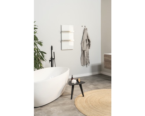 Moderní koupelna s volně stojící vanou, ohřívačem ručníků a dekoracemi