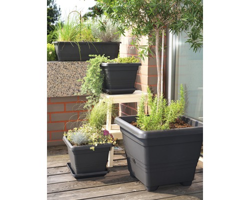 Různé osázené černé květináče na balkoně