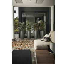 Květináč plastový elho Pure Soft High Ø 35 x 62 cm antracit