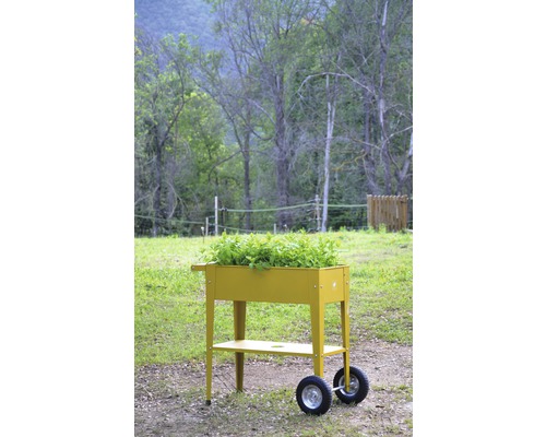 Zvýšený záhon na kolečkách s výsadbou v zahradě