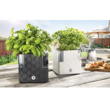 Dva květináče na bylinky se zavlažovacím systémem na dřevěném stole venku, osázené bazalkou a petrželkou.