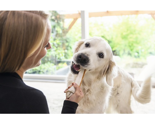 Žena krmí psa kostí