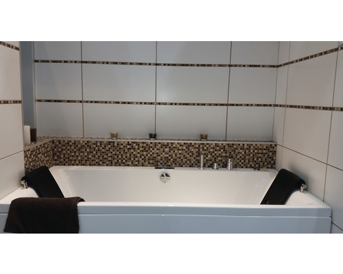 Koupelna s vanou, obloženou stěnou a dekorativními prvky