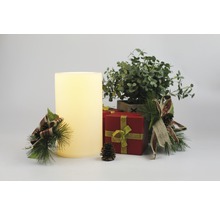 Dekorativní scéna se svíčkou, dárkem a rostlinou