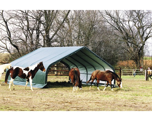 Přístřešek pro koně venku s několika koňmi