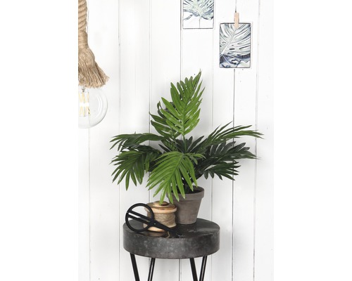 Dekorativní scéna s pokojovou rostlinou, cívkou nitě a nůžkami na stole