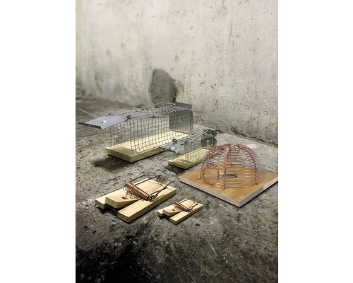 Různé pasti na hubení škůdců