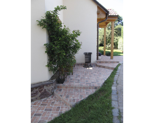 Venkovní pohled na dům s dlážděnou cestou, popínavou rostlinou a odpadkovým košem