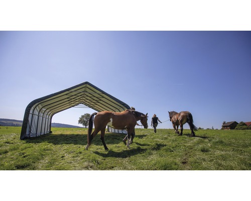 Přístřešek pro koně se dvěma koňmi na louce