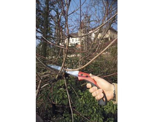 Ruční pila řeže větev stromu.