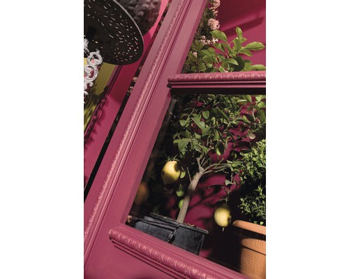 Dekorativní pokoj s citronovníkem v květináči a ozdobnými lištami