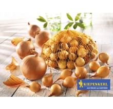 Cibule a semena cibule v síťce s logem Kiepenkerl