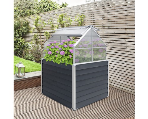 Vyvýšený záhon se skleníkovým nástavcem a fialovými hortenziemi na terase