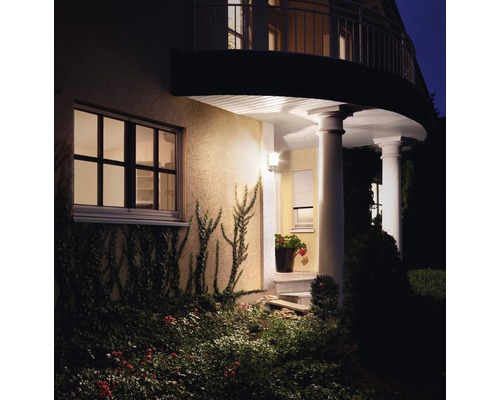 Fasáda domu s venkovním osvětlením, oknem a zelení