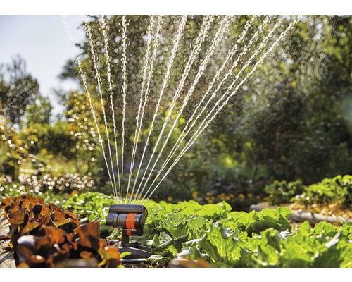 Zavlažování zahrady pomocí oscilačního zavlažovače nad zeleninovými rostlinami