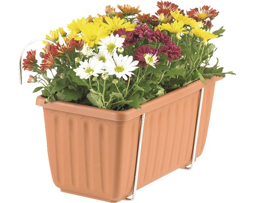 Květináč s kovovým držákem a barevnými chryzantémami