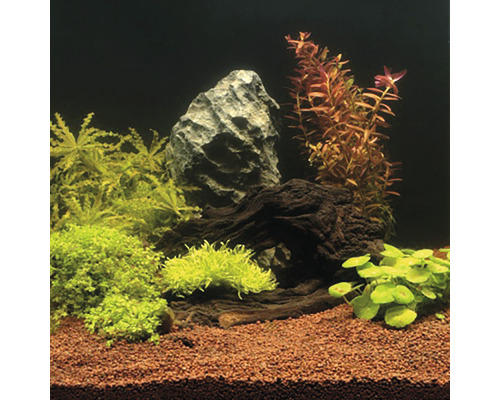 Dekorace akvária s kameny, kořenovým dřevem a různými rostlinami