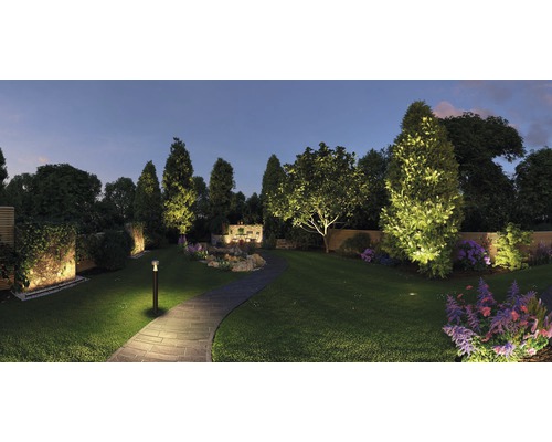 Osvětlená zahrada se stromy, květinami a kamennou cestou