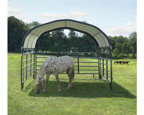 Přístřešek pro koně s koněm na pastvině.