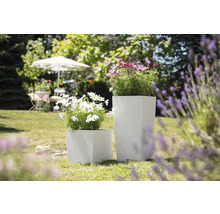 Dva čtvercové plastové květináče s rostlinami na zahradě