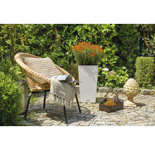 Zahradní scéna s proutěným křeslem, květináčem a dekorací na kamenné podlaze