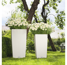 Dva vysoké květináče s květinami na zahradě