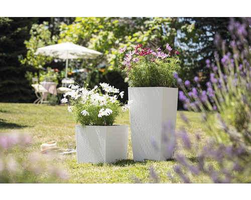 Dva čtvercové květináče s rostlinami na zahradě.