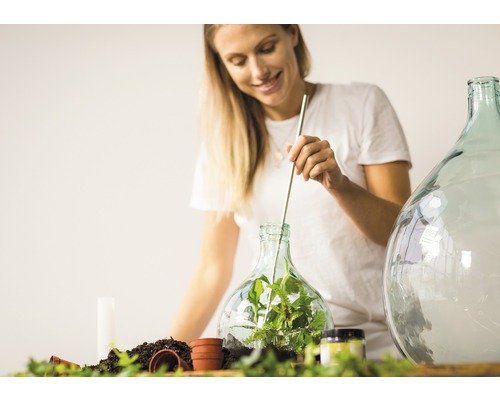 Aerárium 5 l DIY set dárkové balení Aerárium 5 l DIY set dárkové balení