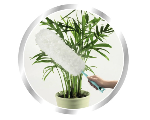 Prachovka čistí pokojovou rostlinu v květináči