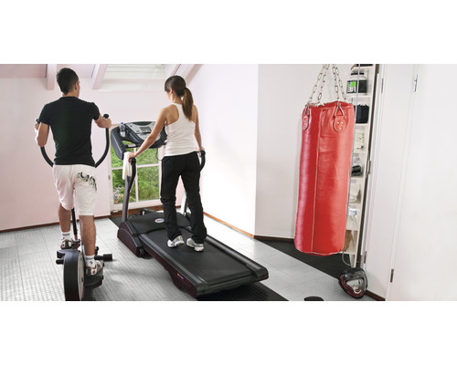 Fitness místnost s crossovým trenažérem, běžeckým pásem a boxovacím pytlem pro domácí trénink